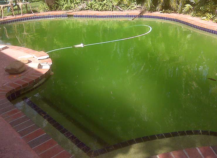 Pool project 7 - Before